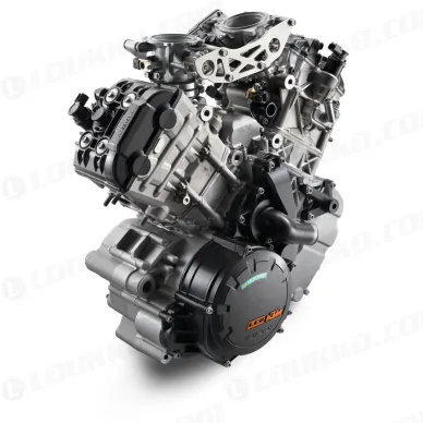 pho_et_nmon_ktm_adventure_engine_1050__sall__awsg__v1 kuva