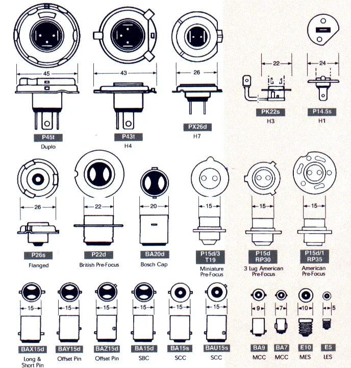 12-bulbs kuva